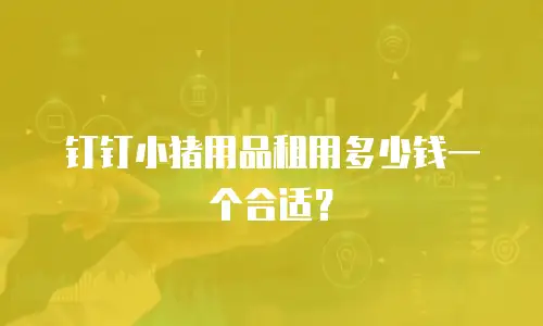 钉钉小猪用品租用多少钱一个合适？