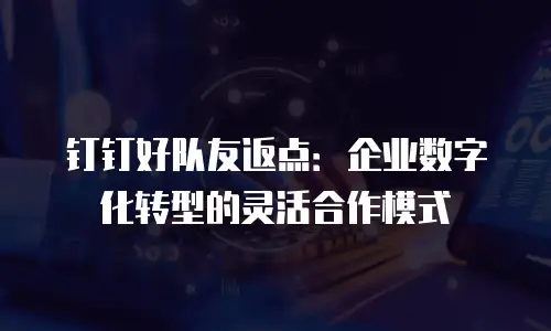 钉钉好队友返点：企业数字化转型的灵活合作模式