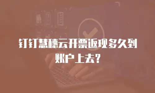 钉钉慧穗云开票返现多久到账户上去？