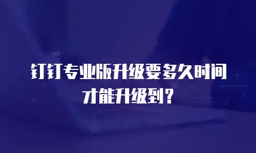 钉钉专业版升级要多久时间才能升级到？
