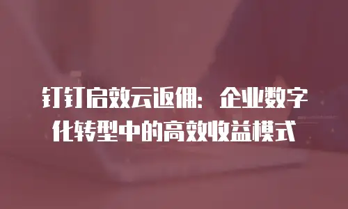 钉钉启效云返佣：企业数字化转型中的高效收益模式