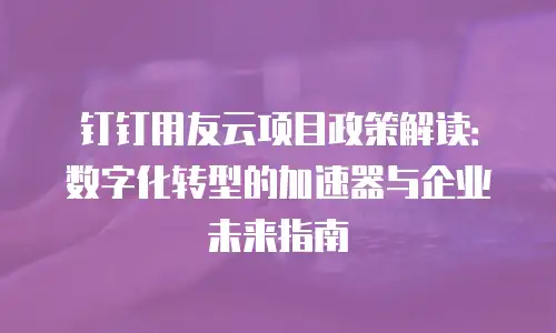 钉钉用友云项目政策解读：数字化转型的加速器与企业未来指南