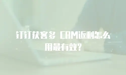 钉钉获客多 CRM返利怎么用最有效？
