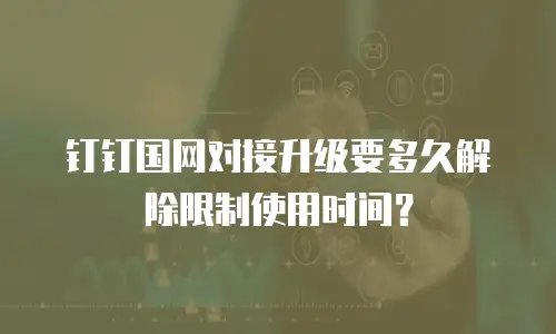 钉钉国网对接升级要多久解除限制使用时间？