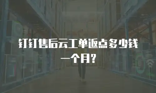 钉钉售后云工单返点多少钱一个月？