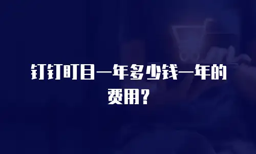 钉钉盯目一年多少钱一年的费用？