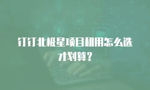 钉钉北极星项目租用怎么选才划算？