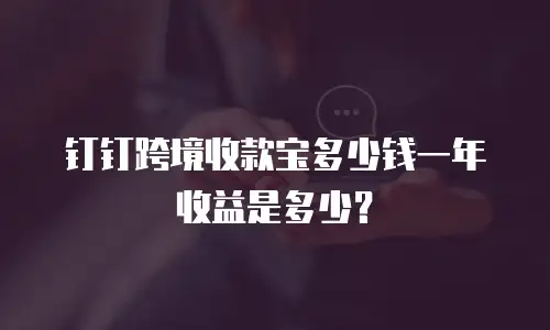 钉钉跨境收款宝多少钱一年收益是多少？