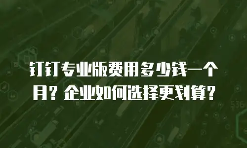 钉钉专业版费用多少钱一个月？企业如何选择更划算？