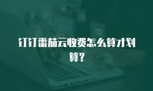钉钉番茄云收费怎么算才划算？