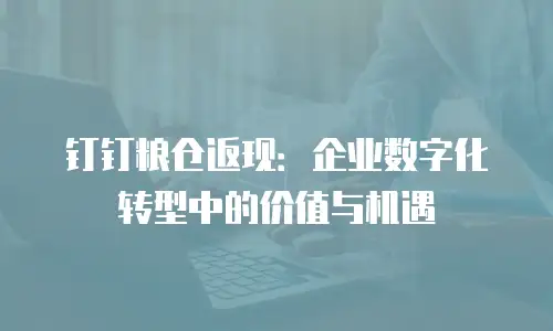 钉钉粮仓返现：企业数字化转型中的价值与机遇