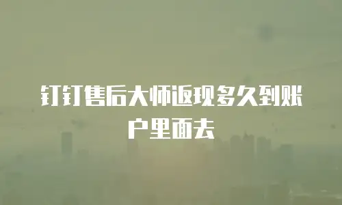 钉钉售后大师返现多久到账户里面去