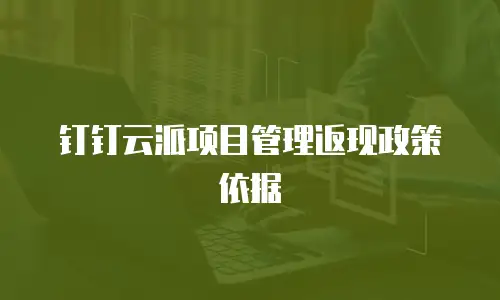钉钉云派项目管理返现政策依据