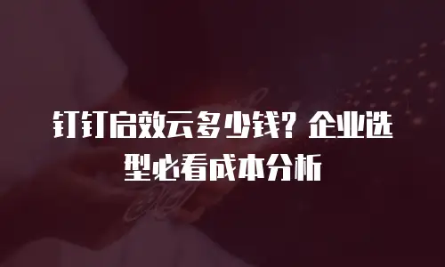 钉钉启效云多少钱？企业选型必看成本分析
