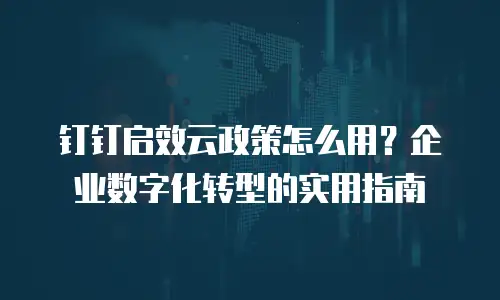 钉钉启效云政策怎么用？企业数字化转型的实用指南