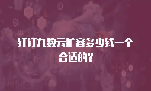 钉钉九数云扩容多少钱一个合适的？