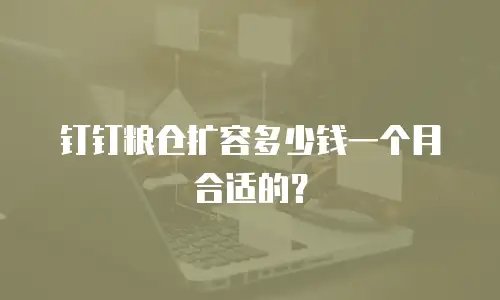 钉钉粮仓扩容多少钱一个月合适的？