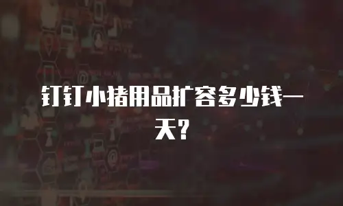 钉钉小猪用品扩容多少钱一天？