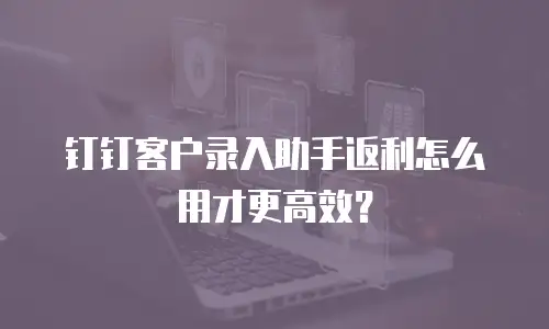 钉钉客户录入助手返利怎么用才更高效？