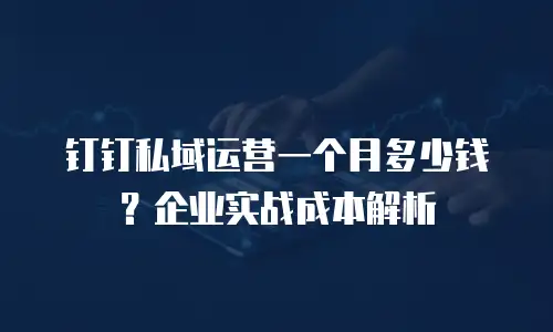 钉钉私域运营一个月多少钱？企业实战成本解析