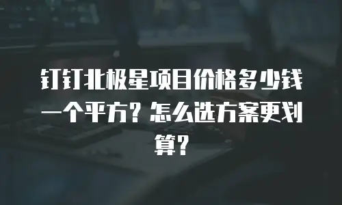 钉钉北极星项目价格多少钱一个平方？怎么选方案更划算？