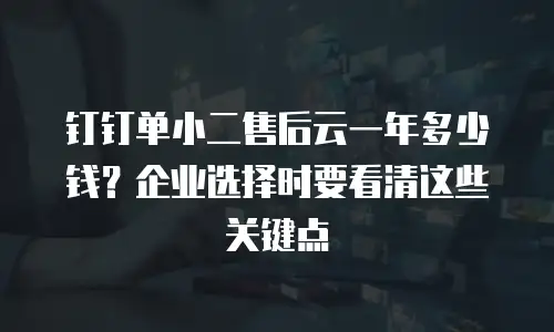 钉钉单小二售后云一年多少钱？企业选择时要看清这些关键点