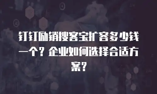 钉钉励销搜客宝扩容多少钱一个？企业如何选择合适方案？
