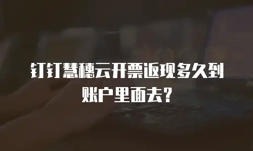 钉钉慧穗云开票返现多久到账户里面去？