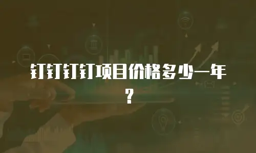 钉钉钉钉项目价格多少一年？