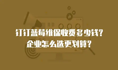 钉钉蓝莓维保收费多少钱？企业怎么选更划算？