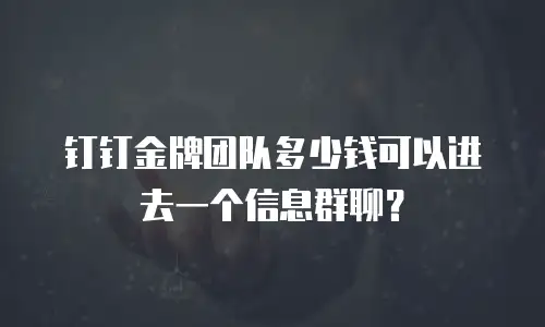 钉钉金牌团队多少钱可以进去一个信息群聊？