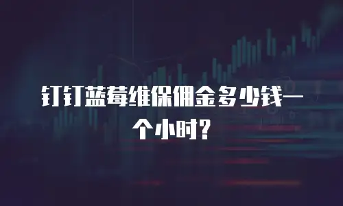 钉钉蓝莓维保佣金多少钱一个小时？