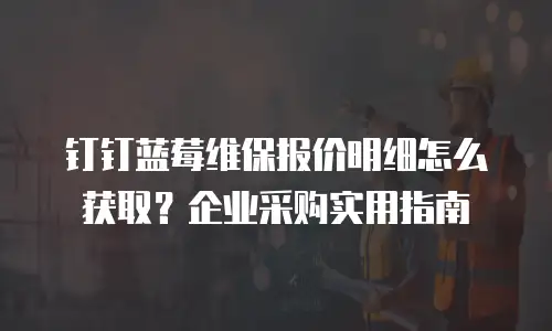 钉钉蓝莓维保报价明细怎么获取？企业采购实用指南