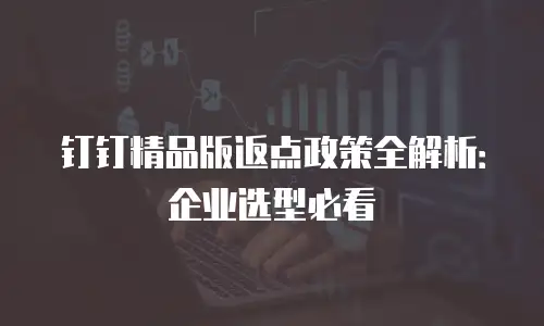 钉钉精品版返点政策全解析：企业选型必看