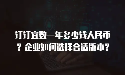 钉钉宜数一年多少钱人民币？企业如何选择合适版本？