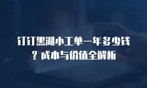 钉钉黑湖小工单一年多少钱？成本与价值全解析