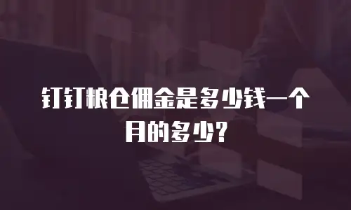 钉钉粮仓佣金是多少钱一个月的多少？