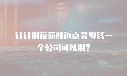 钉钉用友薪酬返点多少钱一个公司可以用？