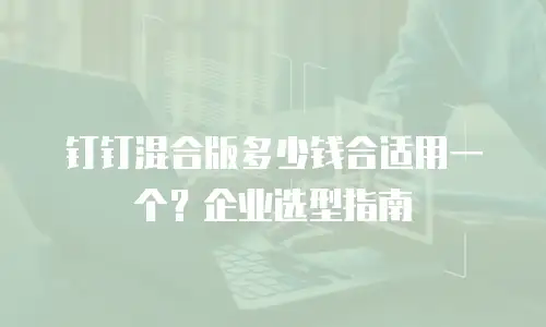 钉钉混合版多少钱合适用一个？企业选型指南