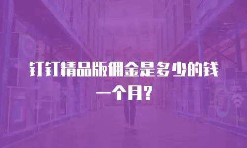 钉钉精品版佣金是多少的钱一个月？