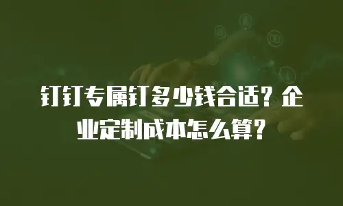 钉钉专属钉多少钱合适？企业定制成本怎么算？