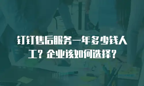 钉钉售后服务一年多少钱人工？企业该如何选择？
