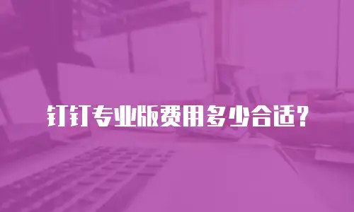 钉钉专业版费用多少合适？