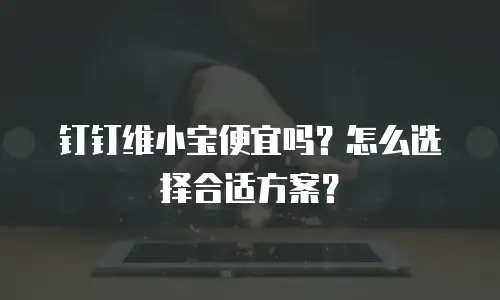 钉钉维小宝便宜吗？怎么选择合适方案？