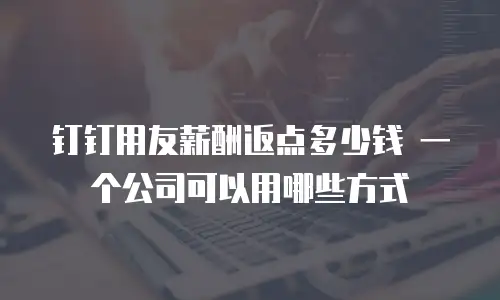 钉钉用友薪酬返点多少钱 一个公司可以用哪些方式