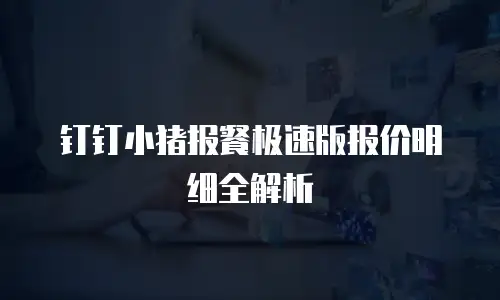 钉钉小猪报餐极速版报价明细全解析