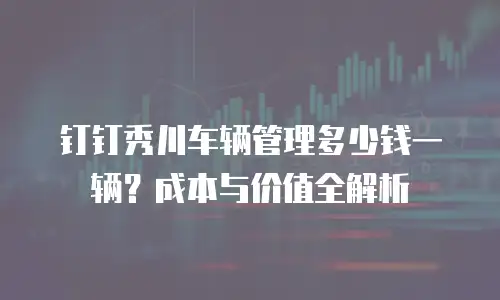 钉钉秀川车辆管理多少钱一辆？成本与价值全解析