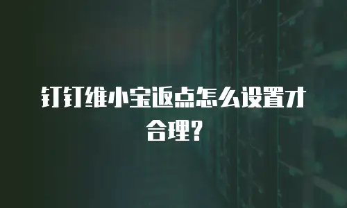 钉钉维小宝返点怎么设置才合理？