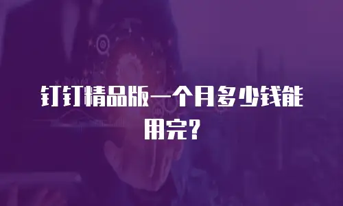 钉钉精品版一个月多少钱能用完？