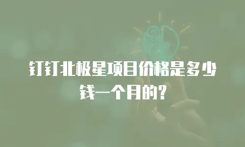 钉钉北极星项目价格是多少钱一个月的？